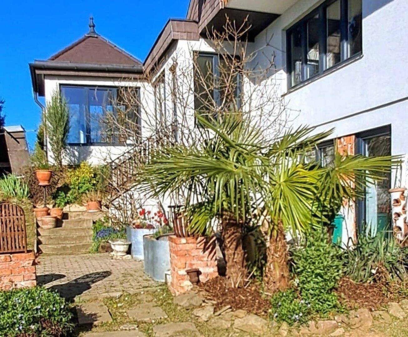 Mediterraner Gartenbereich mit Palmen, Topfpflanzen und Treppe zum Haus.