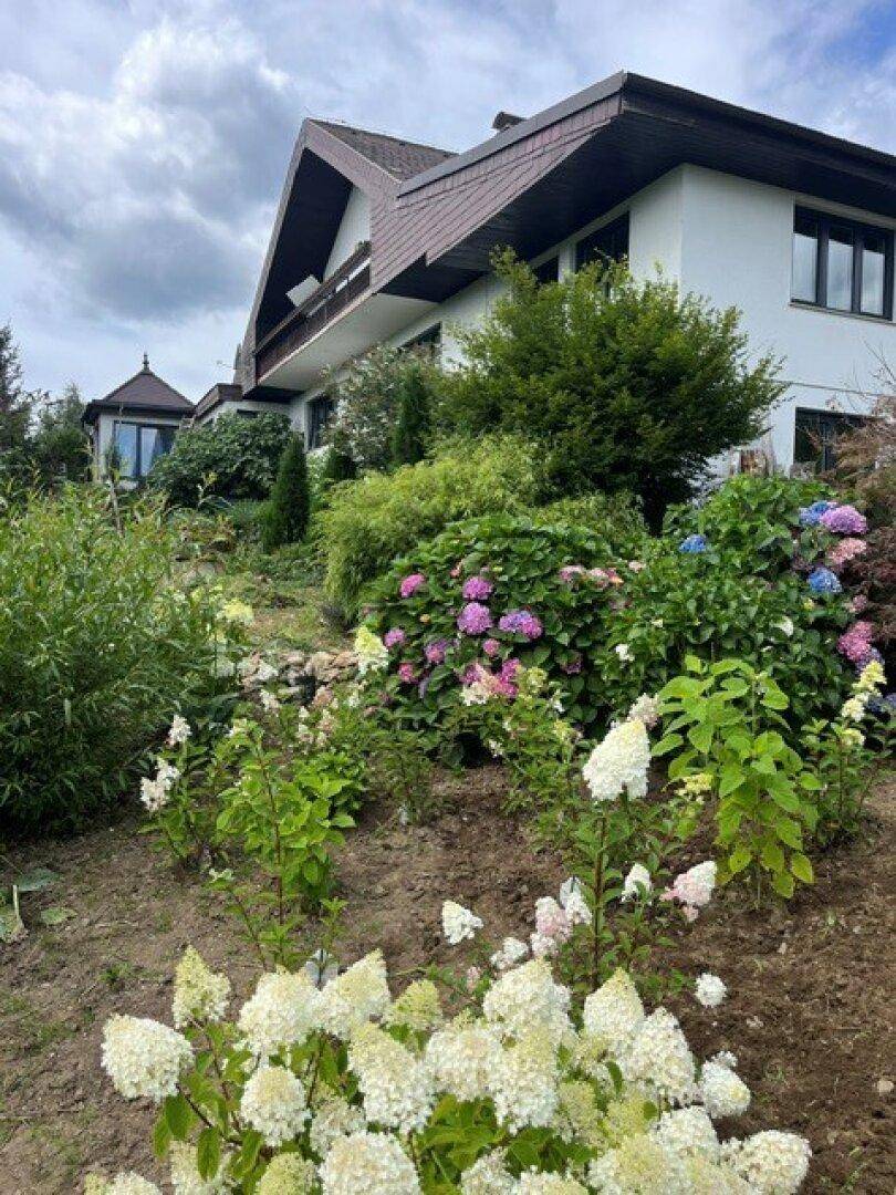 Farbenfroher Garten mit blühenden Hortensien und vielfältiger Bepflanzung.