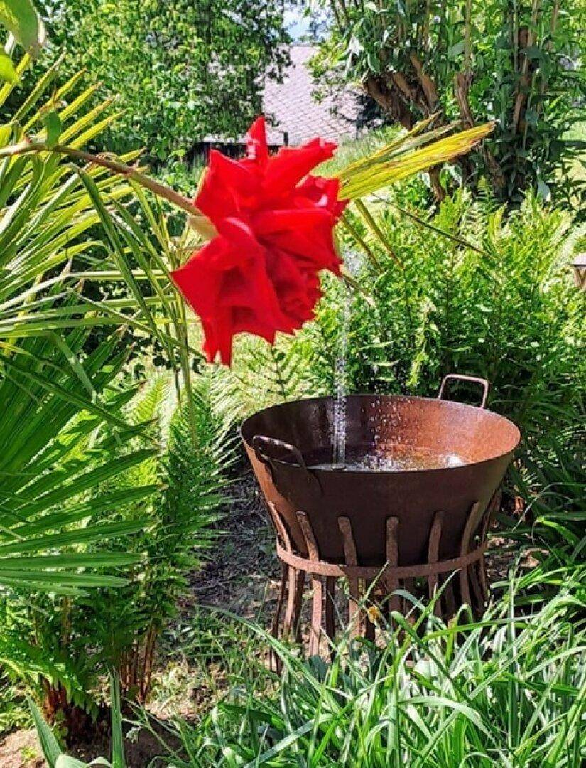 Dekorativer Wasserlauf mit roter Blume und üppiger grüner Bepflanzung im Garten.