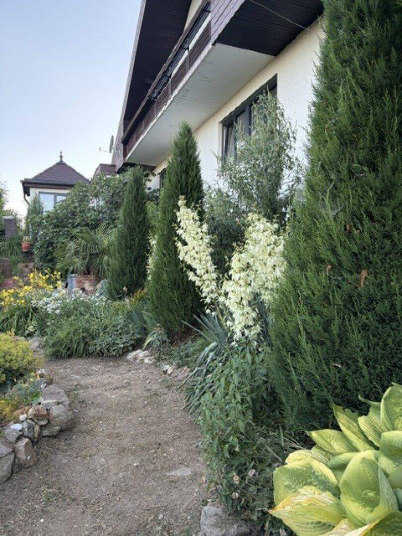 Seitlicher Blick auf das Haus mit gepflegtem Garten, hohen Zypressen und blühenden Pflanzen.
