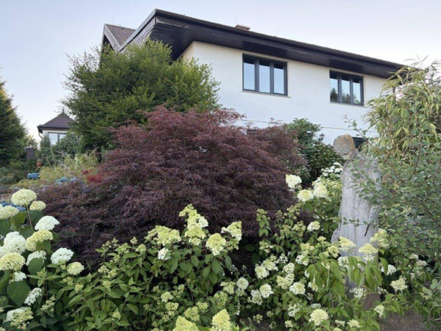 Hausfassade umgeben von einem üppigen Garten mit blühenden Sträuchern und einem Ahornbaum.