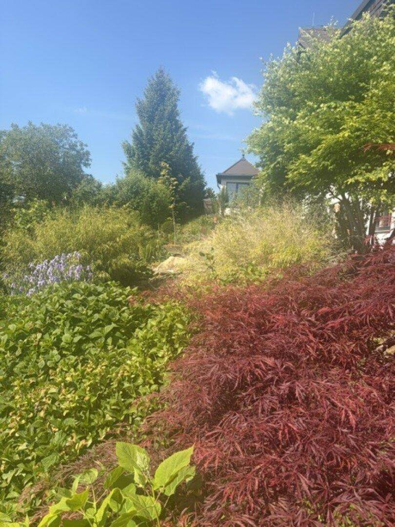 Weitläufiger Garten mit vielfältiger Bepflanzung, darunter rote Ahornbäume und grüne Sträucher.