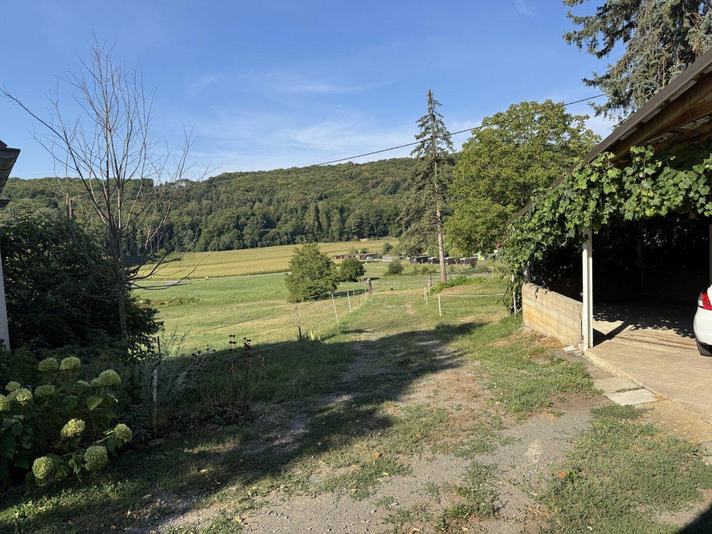 Weitläufiger Blick über grüne Felder und Wälder, umgeben von natürlicher Landschaft.