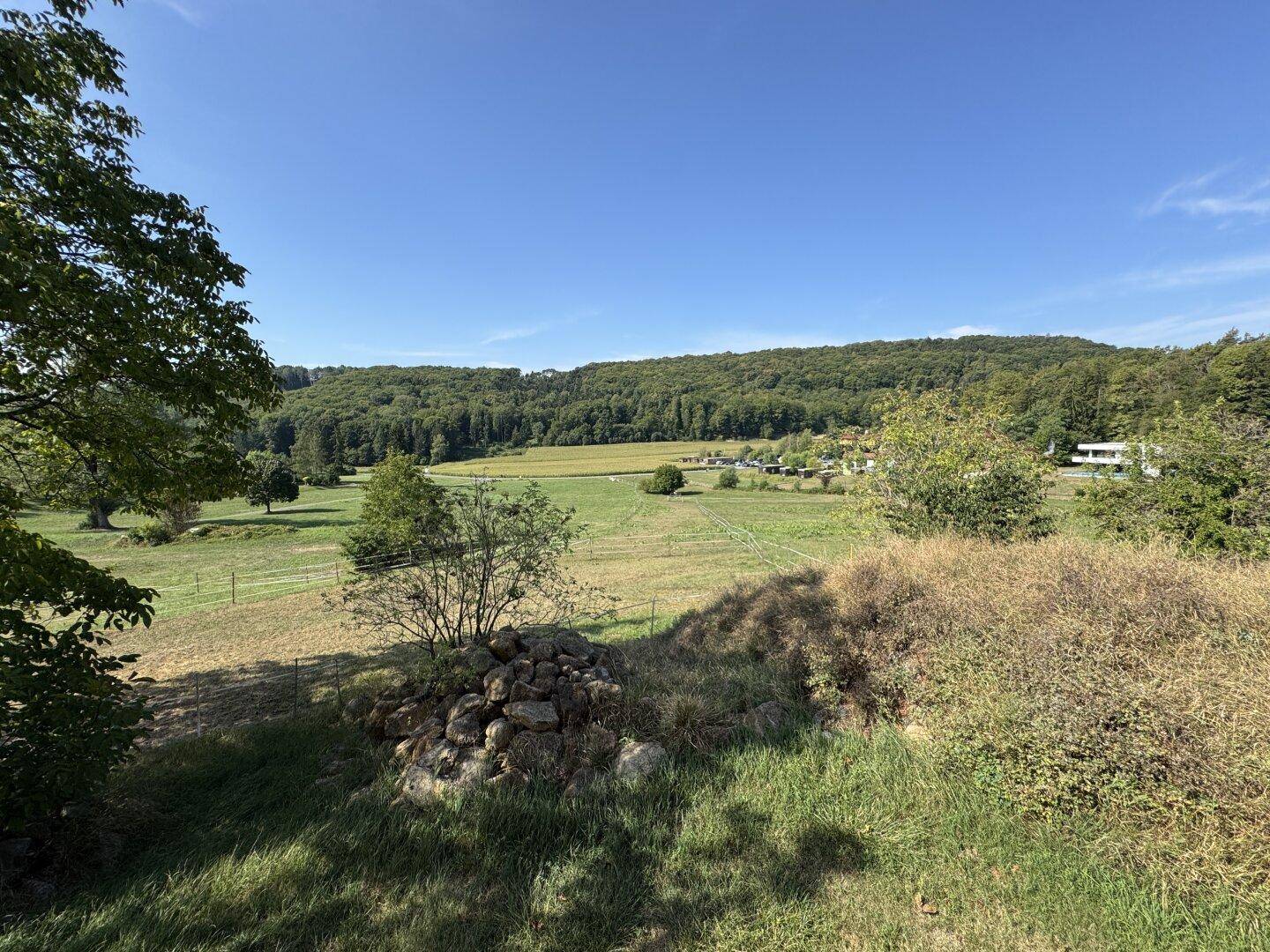 Weitläufiger Panoramablick über die grüne Landschaft mit Feldern und bewaldeten Hügeln.