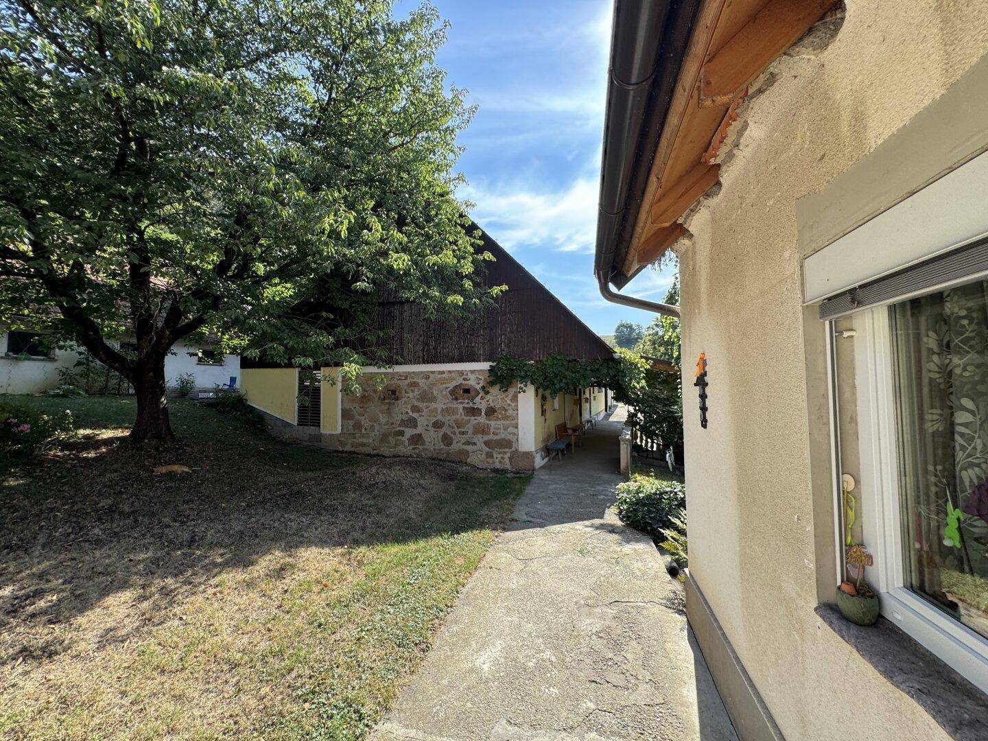 Sonniger Außenbereich mit einem gepflasterten Weg, altem Baumbestand und einem Gebäude mit Steinfassade.