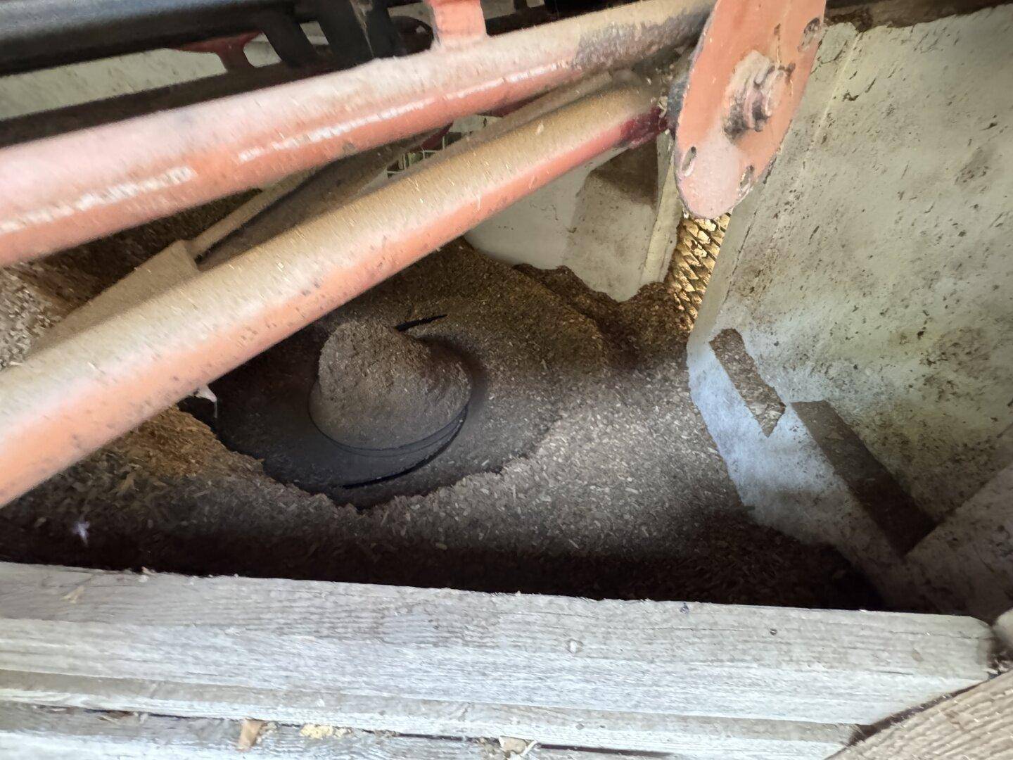 Nahaufnahme einer landwirtschaftlichen Maschine mit Getreide oder Futter, in einem Lagerbereich.