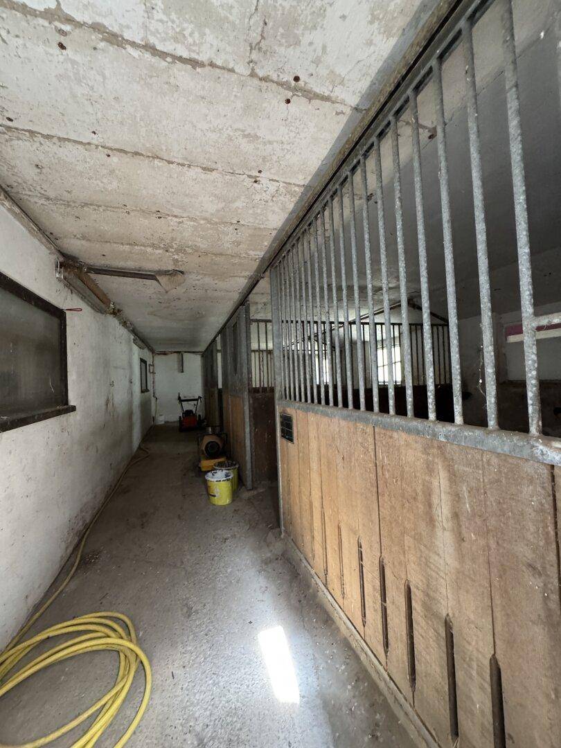 Innenansicht eines Stalls oder einer Scheune mit Boxen und Betonboden, bereit für Tiere.