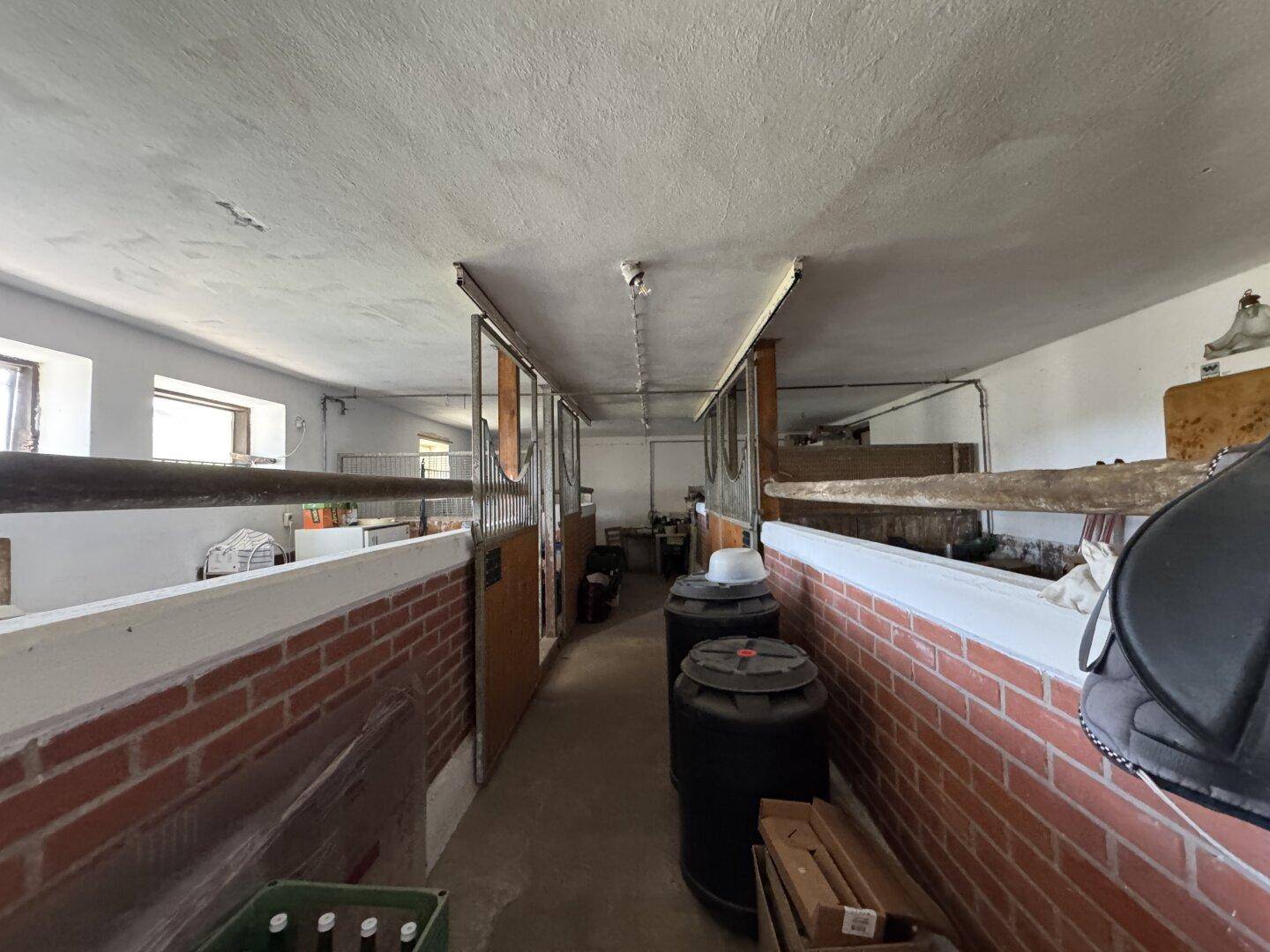 Innenansicht eines Stalls mit Ziegelwänden und Boxen, ausgestattet für die Tierhaltung.