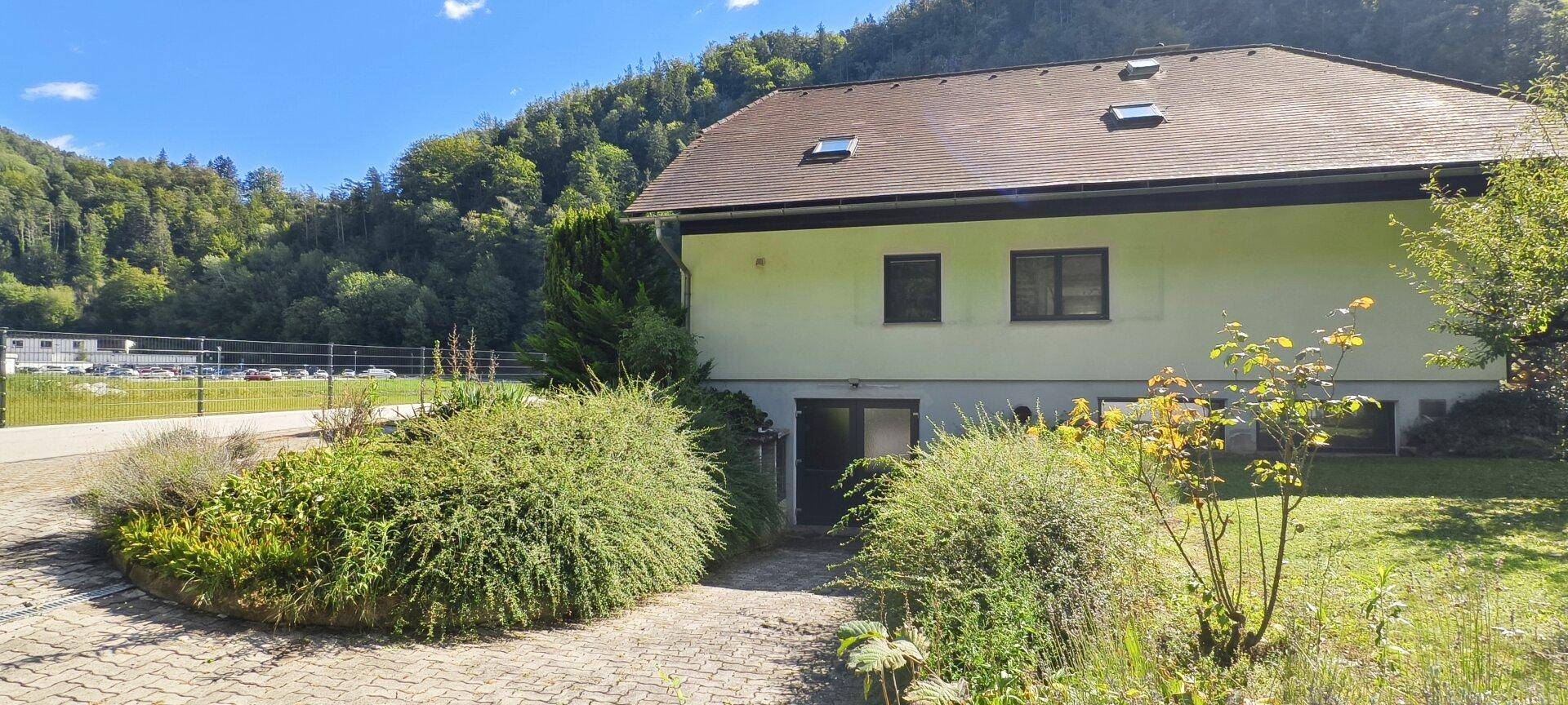 Rückseite des Hauses mit Eingangsbereich und üppiger Bepflanzung im Vordergrund.