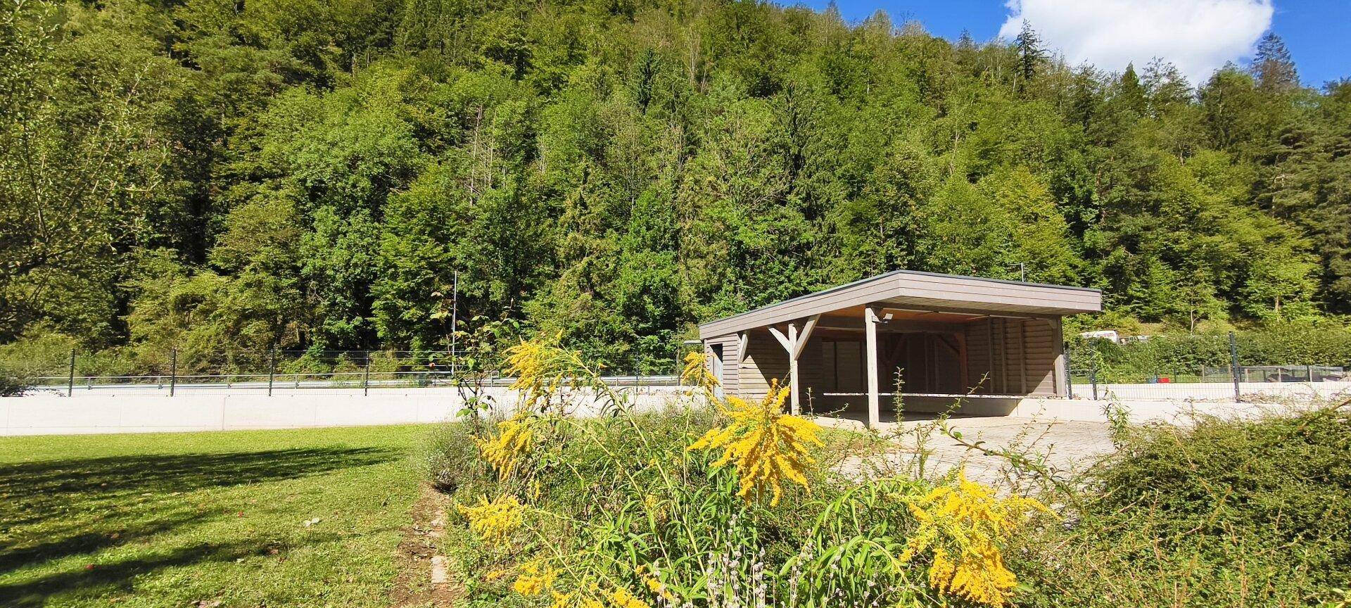 Offener Carport neben dem Haus, umgeben von grüner Natur und Bäumen.