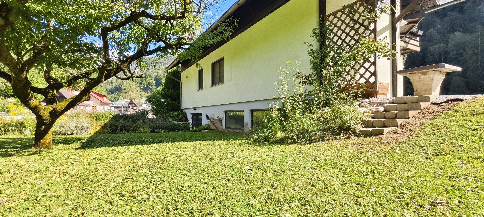 Große Rasenfläche mit altem Baum und Blick auf die Hausfassade und die Umgebung.