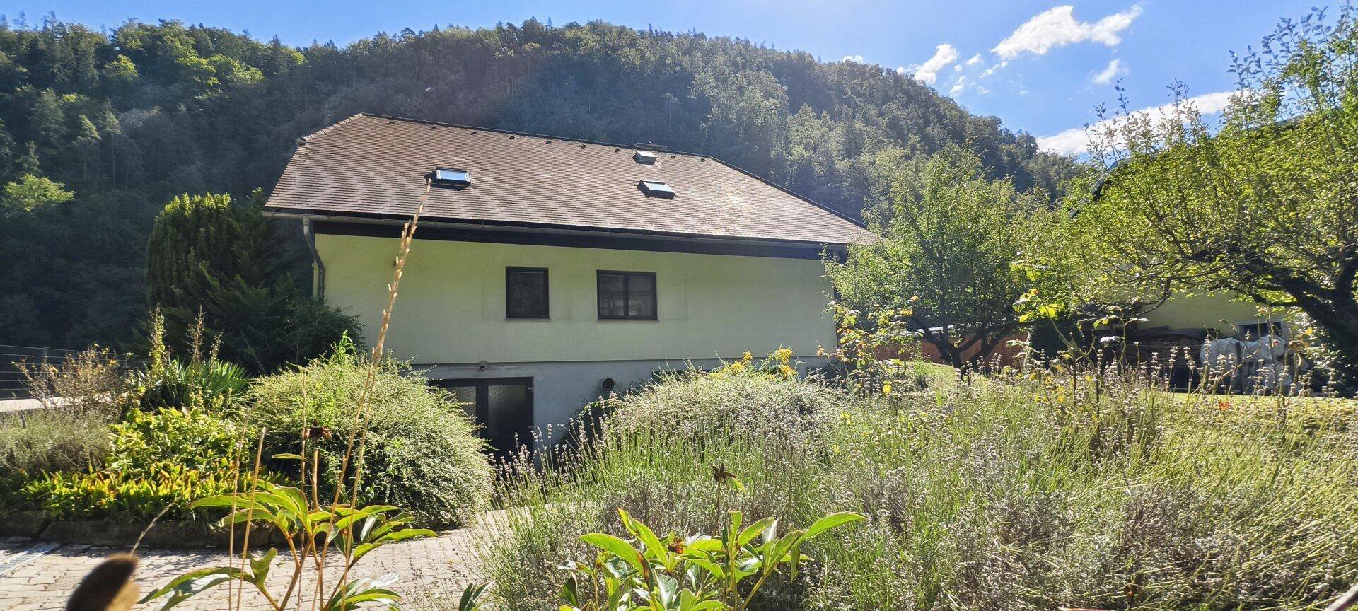 Rückseite des Hauses mit gepflegtem Garten, Sträuchern und Blick auf die bewaldeten Hügel.