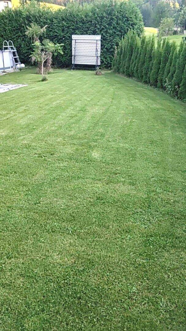 Gepflegter Garten mit weitläufiger Rasenfläche, hohen Hecken, einem Aufstellpool und Tischtennisplatte.