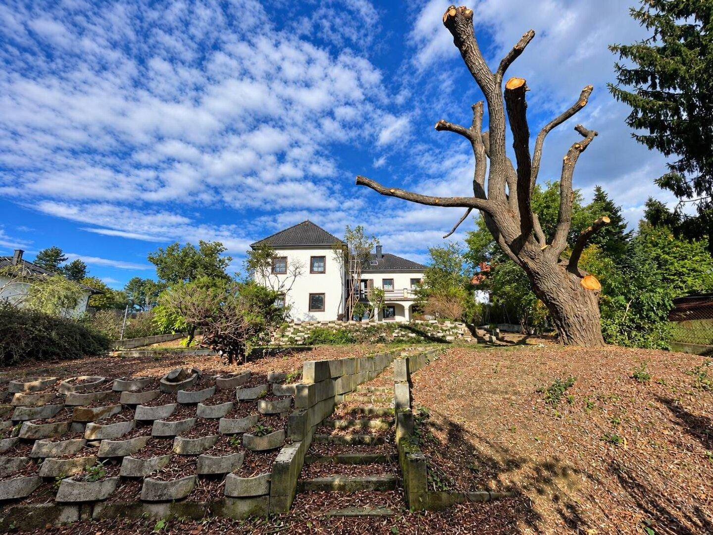 Terrassierter Gartenbereich mit altem Baumbestand und Blick auf das Wohnhaus.