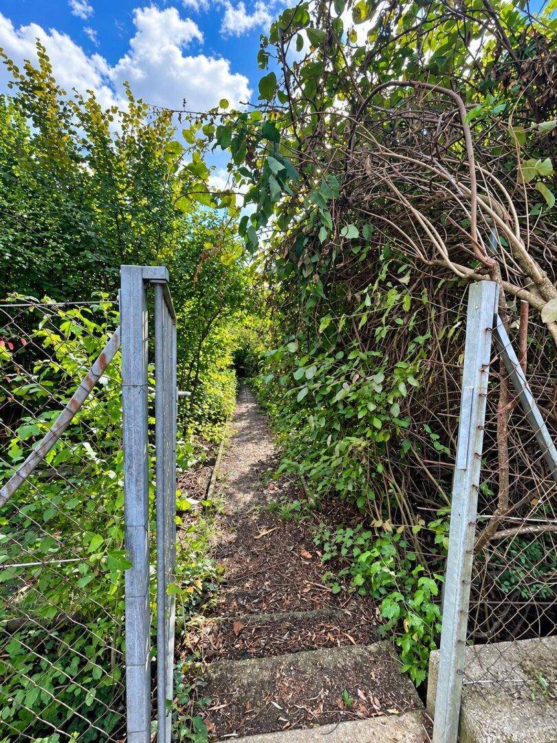 Verwilderter Pfad durch einen Zaun, umgeben von dichtem Grün und Bäumen.