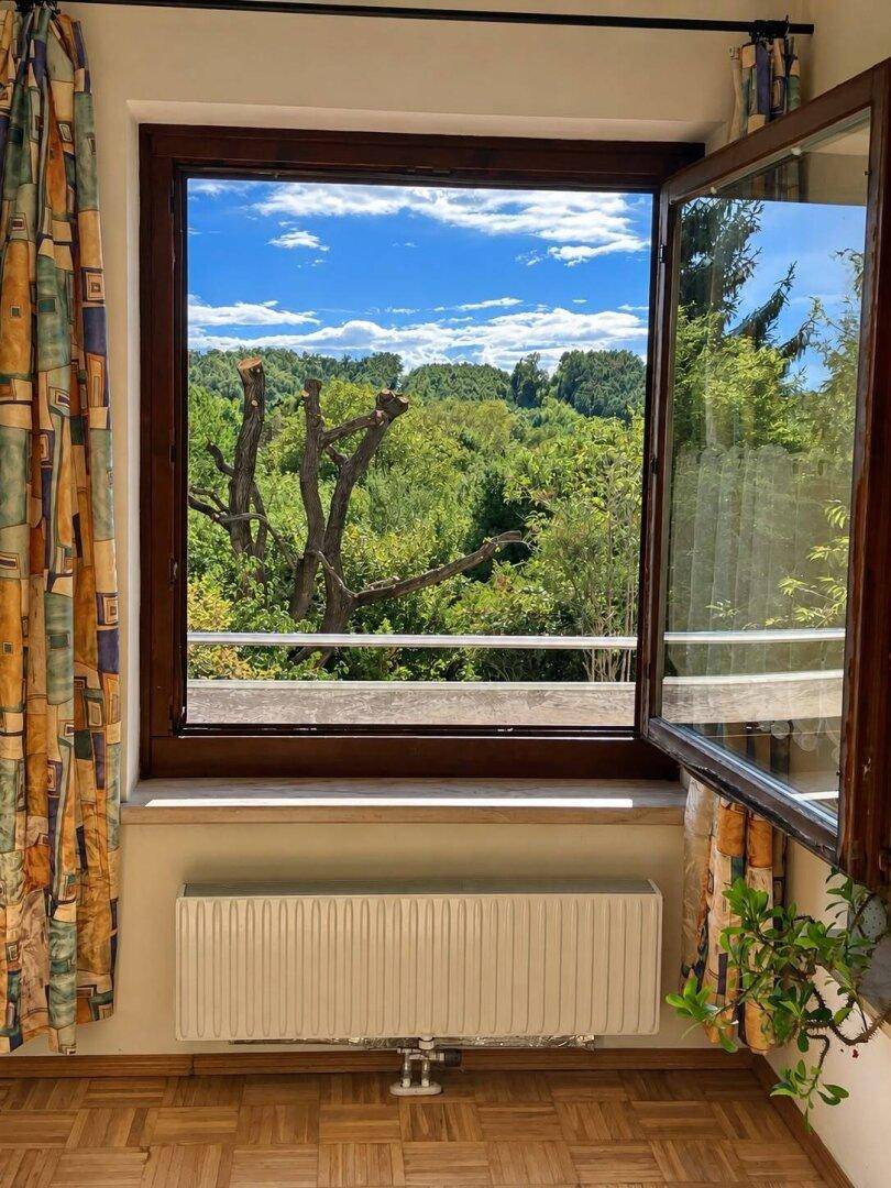 Fenster mit weitem Blick über die grüne Landschaft und den blauen Himmel.