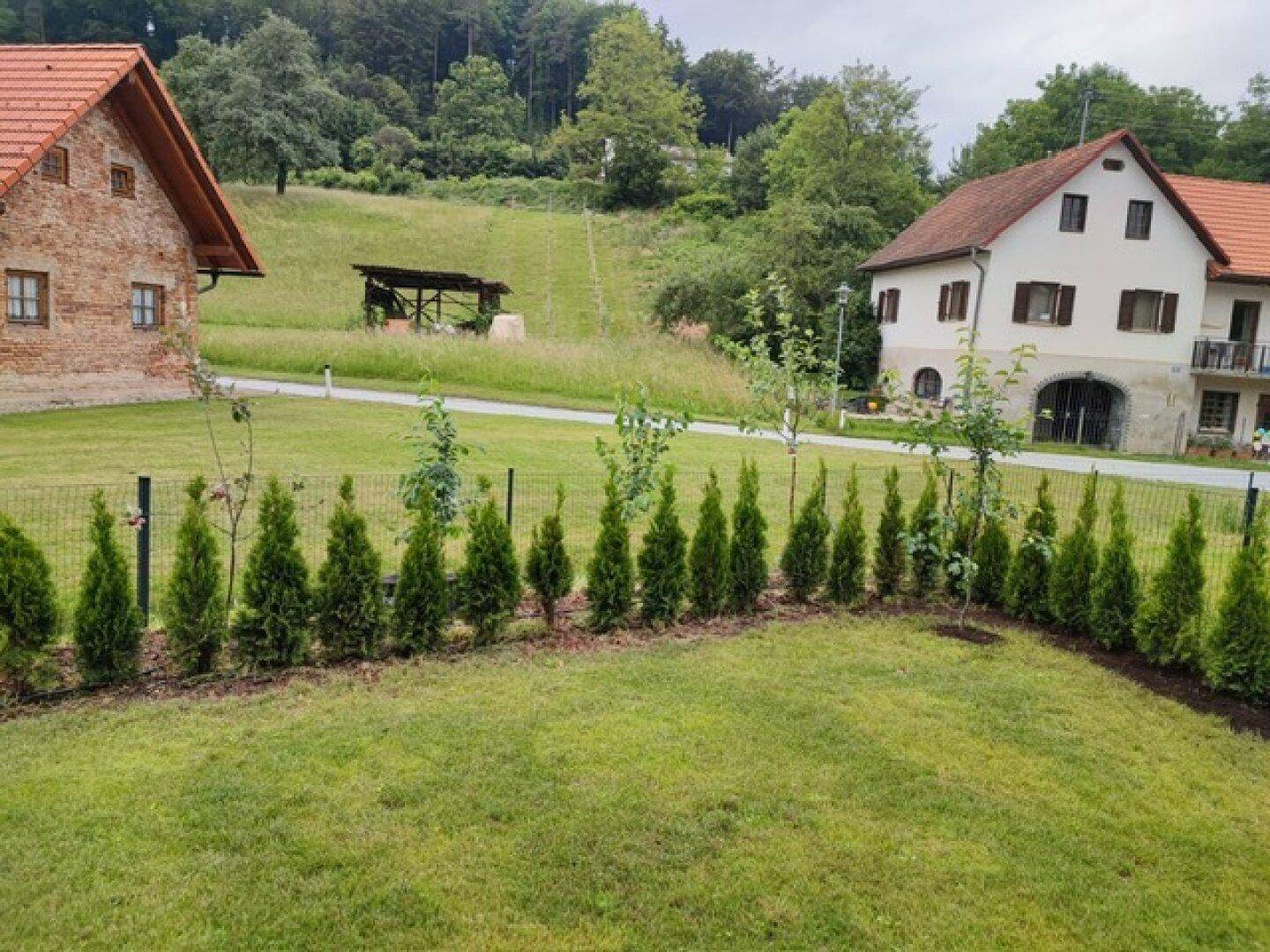 Grüner Garten mit jungen Bäumen, Zaun und traditionellen Häusern im ländlichen Stil.