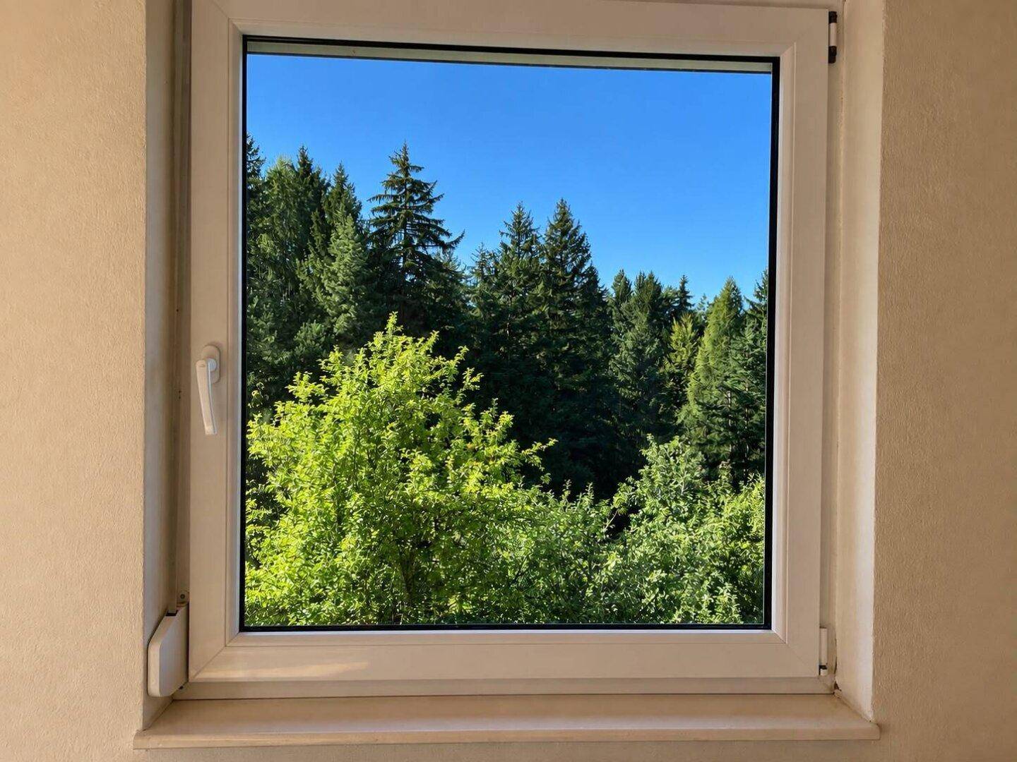 Fensterblick auf dichte grüne Wälder und einen klaren blauen Himmel an einem sonnigen Tag.