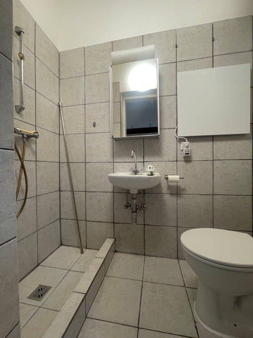 Kleines Badezimmer mit hellgrauen Fliesen, ebenerdiger Dusche, Einzelwaschbecken und Toilette.