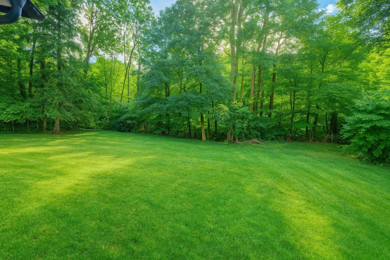 BAUGRUND AM LIESINGBACH – IHR PLATZ FÜR NATUR &amp; LEBENSQUALITÄT - Ansicht 5