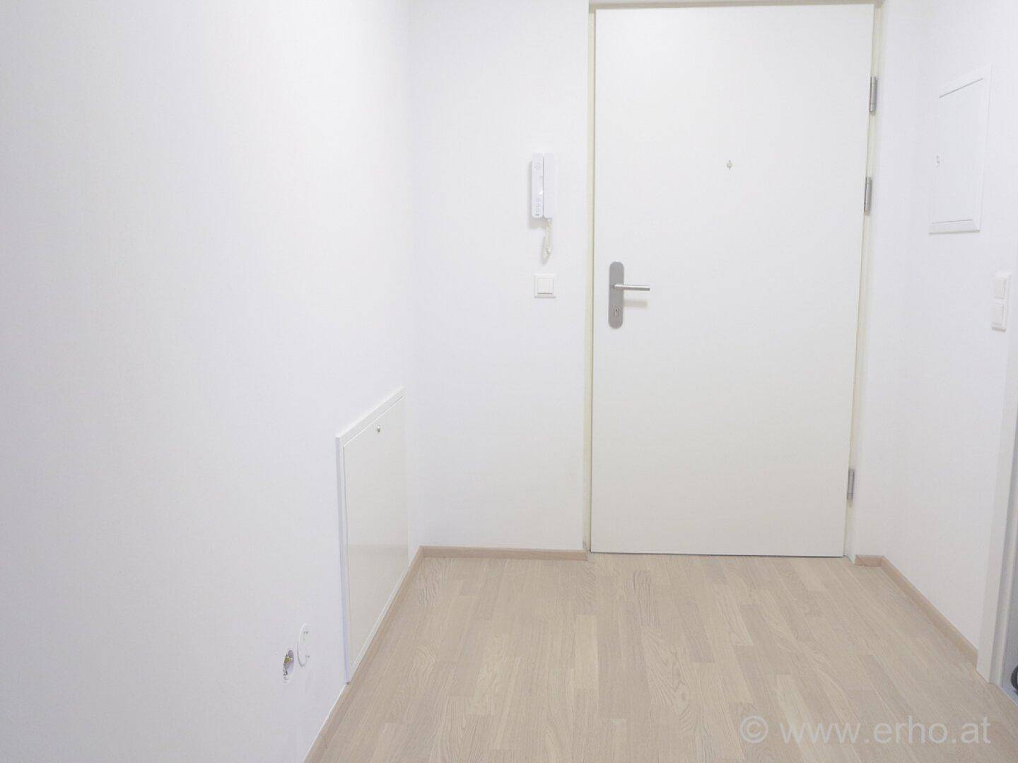 Heller Eingangsbereich mit weißer Tür, Gegensprechanlage und freundlichem Laminatboden.