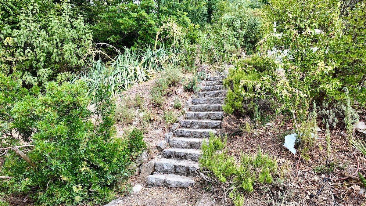 Steintreppe führt einen grünen Hang hinauf, umgeben von dichten Büschen und Bäumen.