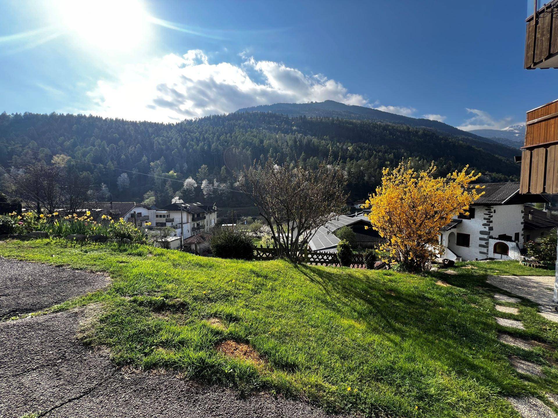 Töll-Vinschgau-Val Venosta-Tell-Einzimmerwohnung-monolocale-balcone-soffitta-garage-Balkon-Dachboden-Garage-Garten-Ferienwohnung-casa vacanze-Investiton-Investitionsobjekt-investimento