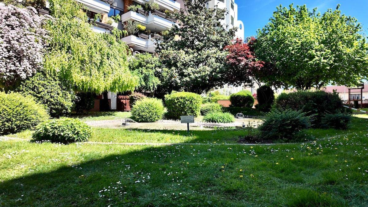 Gepflegte Gemeinschaftsgartenanlage mit Rasenflächen und verschiedenen Sträuchern und Bäumen.