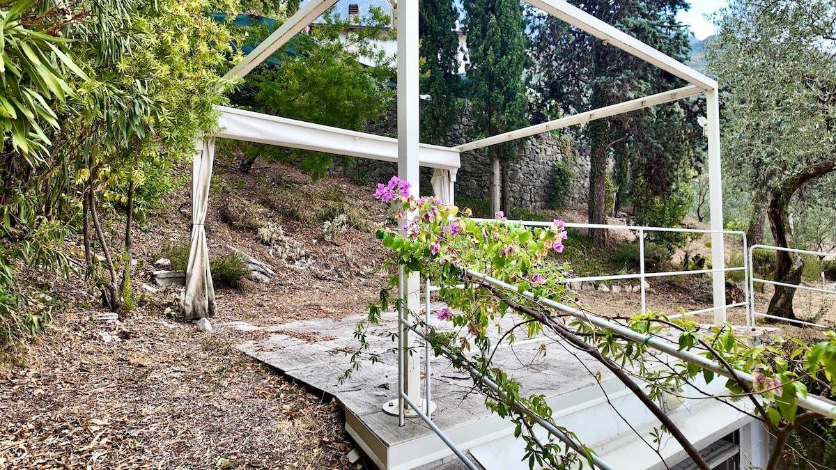 Außenbereich mit weißer Pergola, trockenem Boden und grüner Vegetation, akzentuiert durch rosa Blüten.