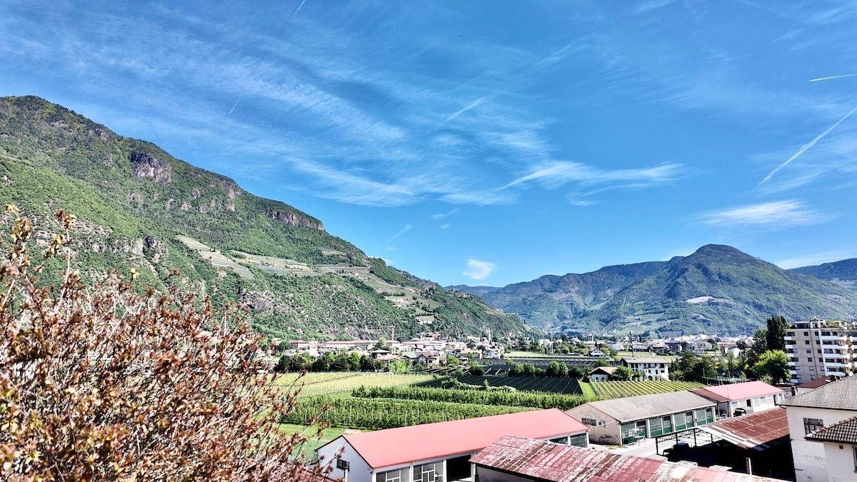 Panoramablick auf die grüne Landschaft mit Weinbergen und majestätischen Bergen unter blauem Himmel.