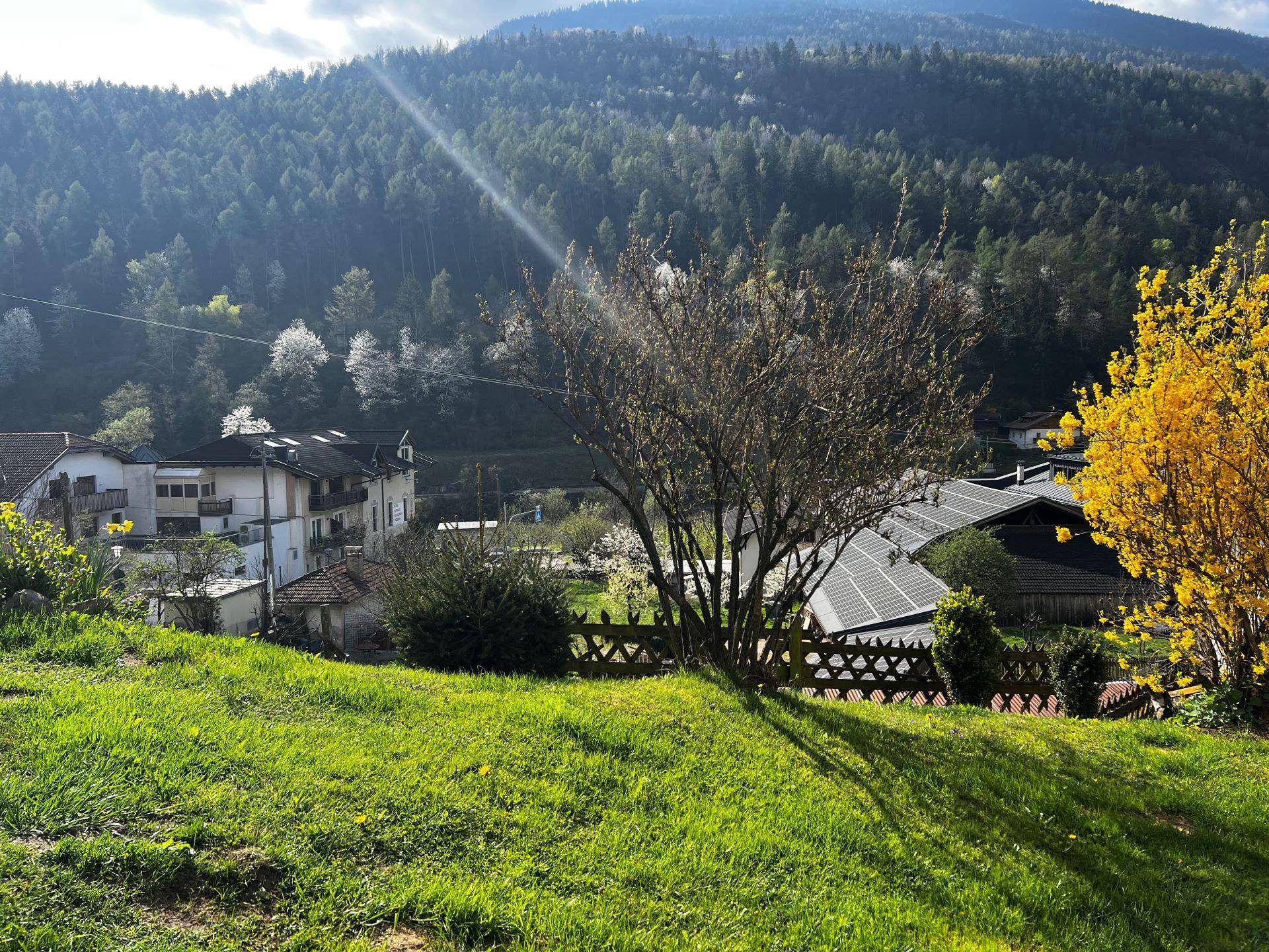 Töll-Vinschgau-Val Venosta-Tell-Einzimmerwohnung-monolocale-balcone-soffitta-garage-Balkon-Dachboden-Garage-Garten-Ferienwohnung-casa vacanze-Investiton-Investitionsobjekt-investimento