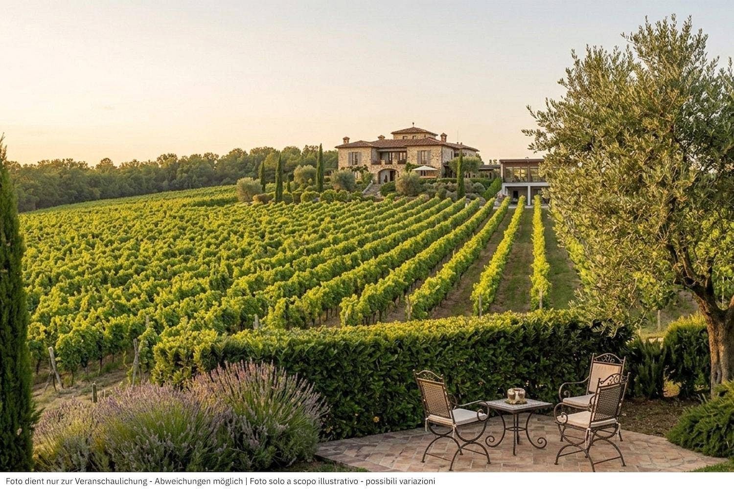 Luxuriöse Villa inmitten weitläufiger Weinberge mit gemütlicher Terrasse und Olivenbaum.