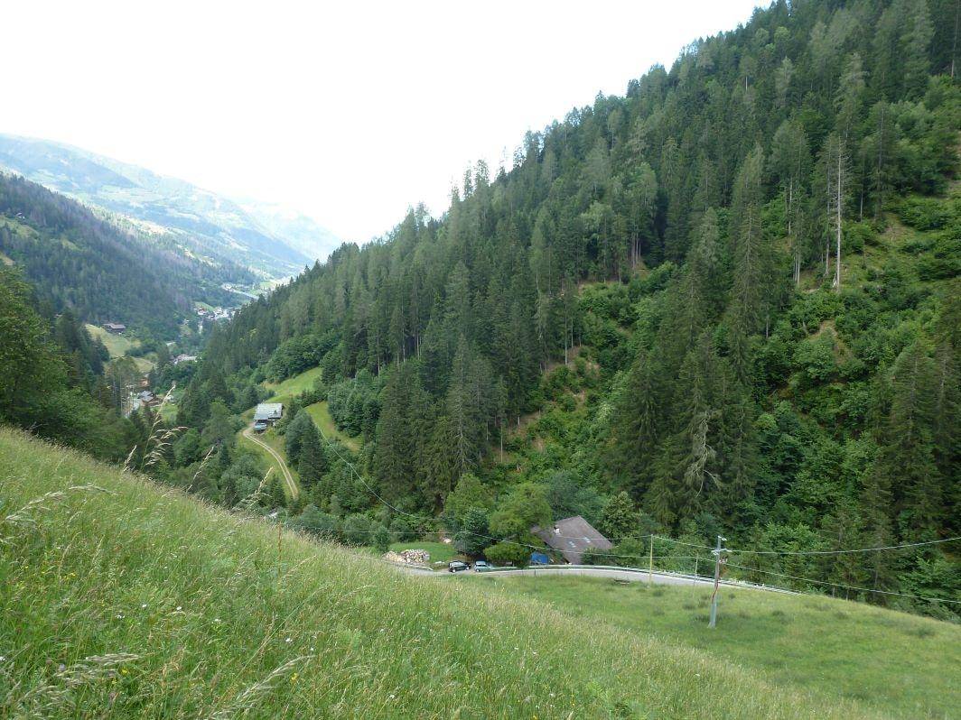 Weitläufiger Blick über ein grünes Tal mit dicht bewaldeten Hängen und dem abgelegenen Holzhaus.