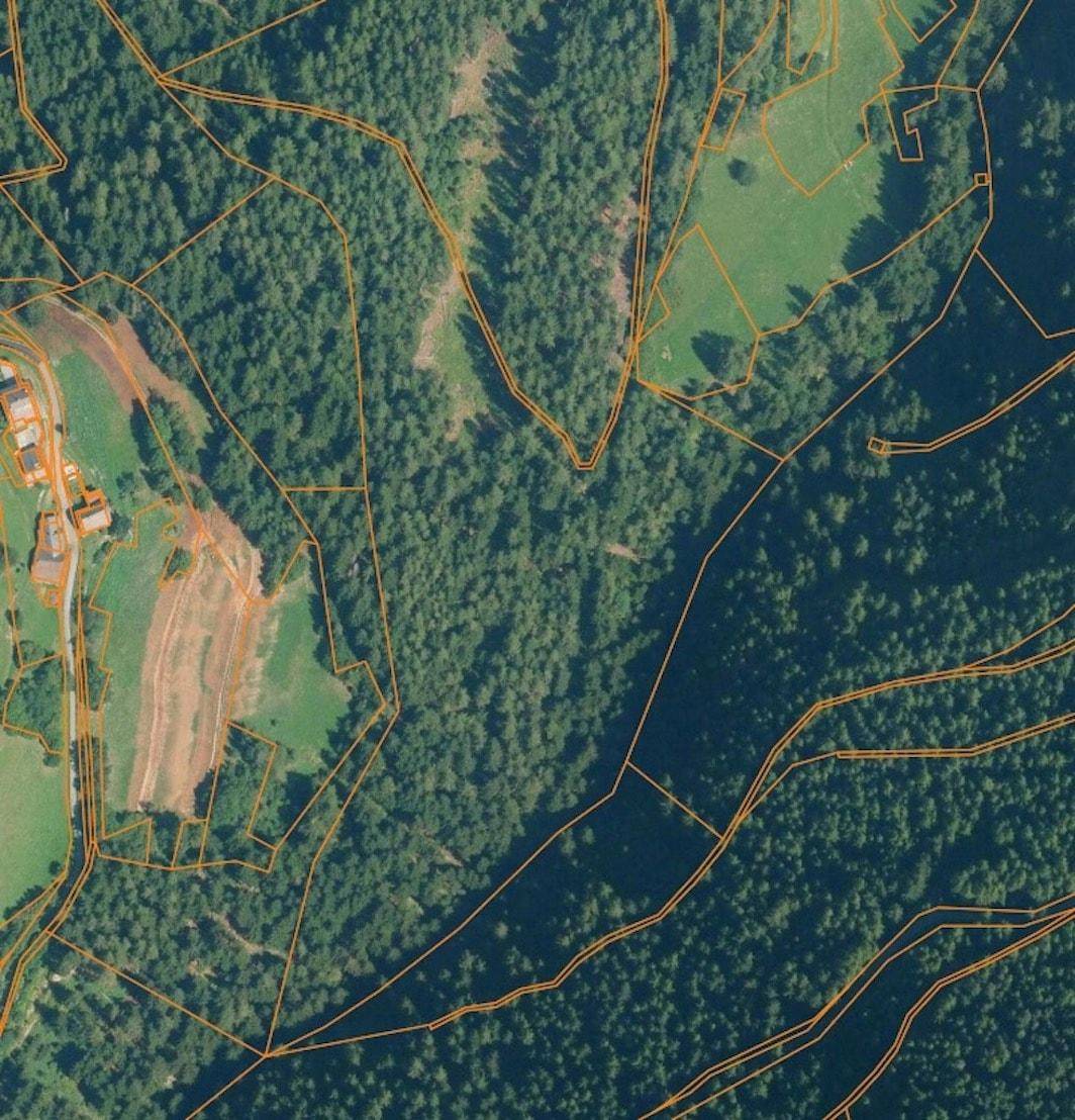 Steilhang_Hanglage_Wiese_Wald_Acker_St.Lorenzen