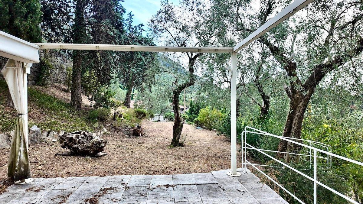 Außenbereich mit weißer Pergola, trockenem Boden und mehreren alten Olivenbäumen, die Schatten spenden.