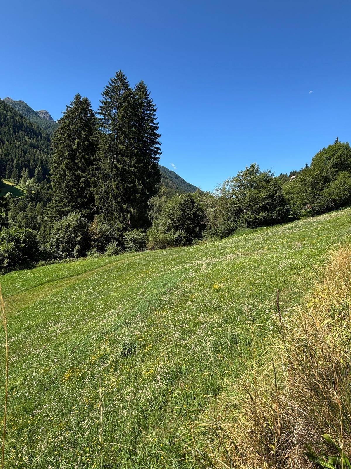 Ulten-Turismus-Bauen-Baugrnd-Chance-Occasione-nuove-idee-gastronomia-terreno edificabile