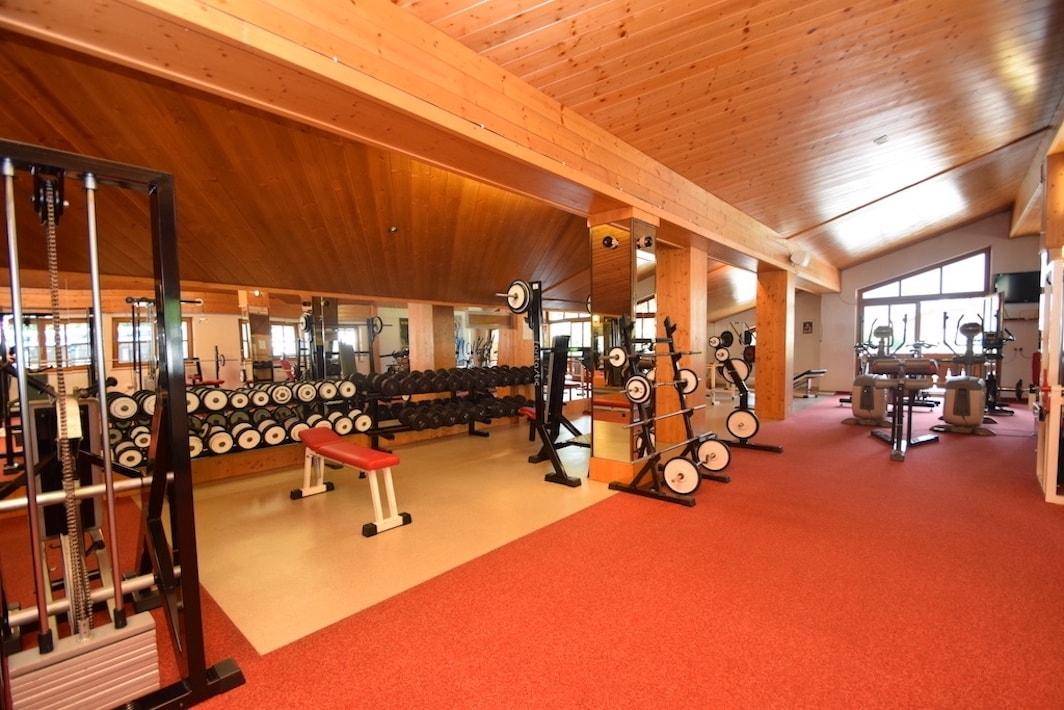 Gut ausgestatteter Fitnessraum mit verschiedenen Trainingsgeräten, Holzverkleidung und rotem Teppichboden.