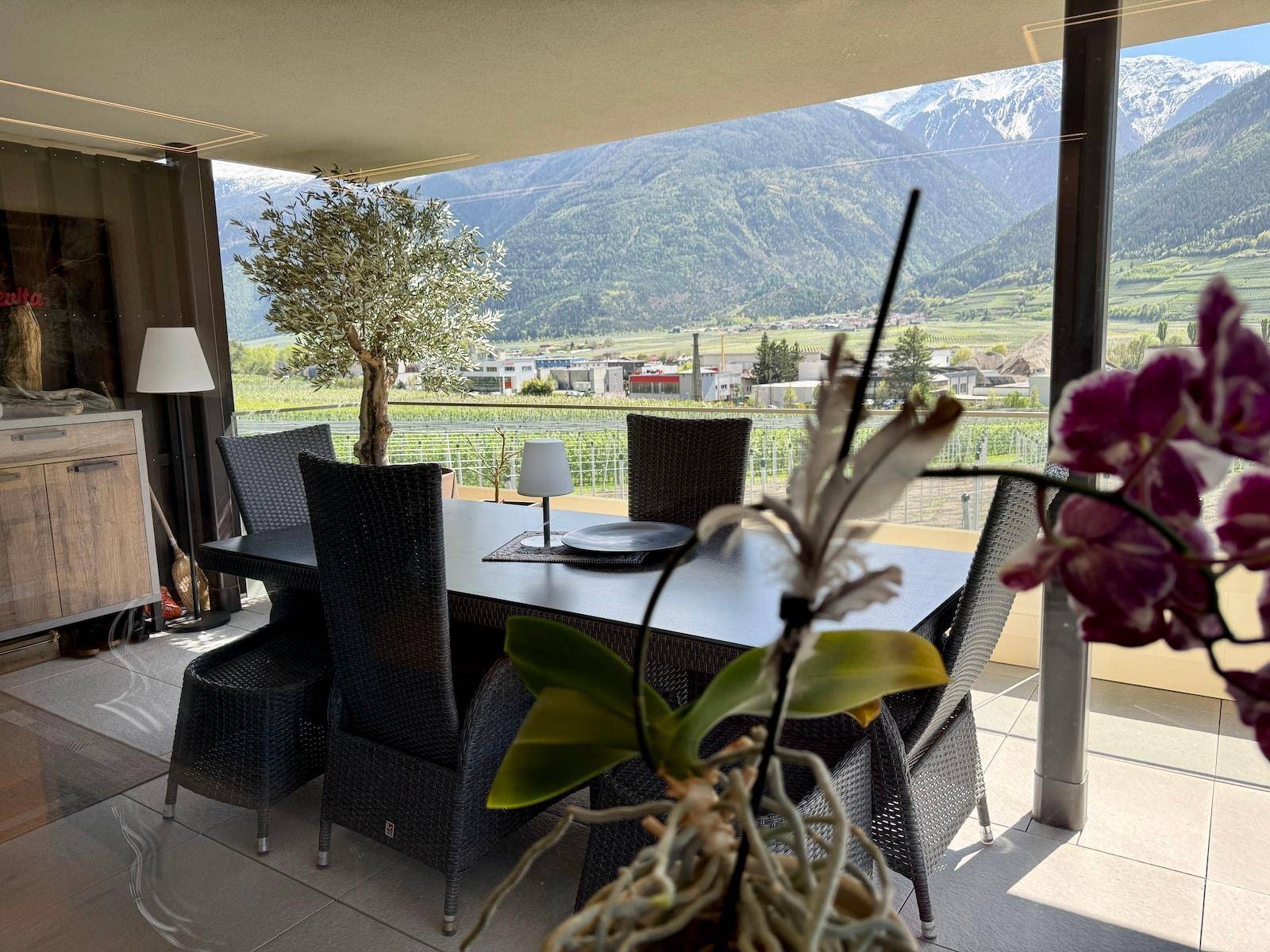 Geräumige Terrasse mit Esstisch, Olivenbaum und weitem Blick auf Berge und Weinberge.