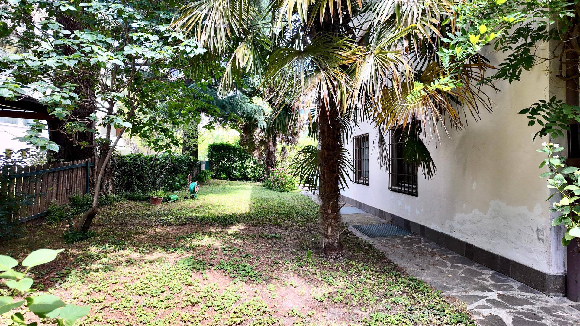 Seitlicher Gartenbereich mit Palmen, Rasenfläche und Zugang zum Haus.