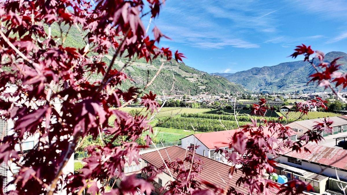 Weitläufiger Blick auf die Weinberge, umliegende Häuser und die Berglandschaft.