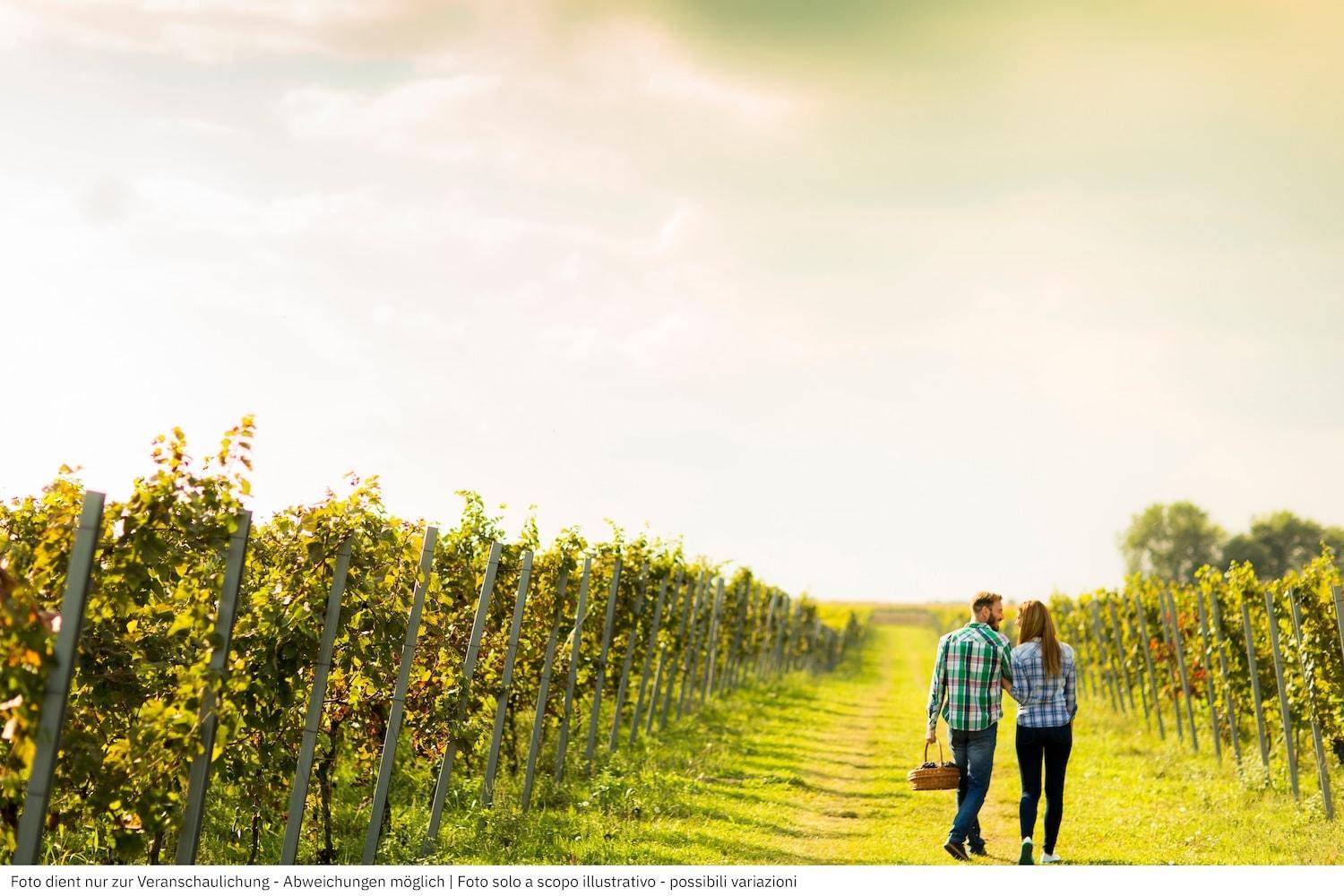 Weingut Volano Weingut Rovereto Weingut Trentino Weingut Südtirol kaufen Weinregion Trentino Dolomiten Weinberge Weingut Etschtal Italien Weingut kaufen Weingut in Rovereto Weinimmobilie Volano Weingut Immobilie kaufen Weinberg kaufen Luxusimmobilie Trentino Historische Villa mit Weinberg Repräsentatives Anwesen kaufen Weingut mit Villa Anwesen mit Privatsphäre kaufen Weinkellerei Immobilie Großes Weingut kaufen Privilegiertes Weingut kaufen Voll strukturierter Weinbaubetrieb Moderne Weintechnik Eingespieltes Team Weingut State-of-the-Art Weinkellerei Barrique-Keller Weinproduktion voll ausgestattet Bestlage Weinbau Mikroklima Weinbau perfekt Exzellente Rebflächen Gastfreundliche Weinkultur höchstes Niveau Weinverkostung Immobilie Weinbau Betrieb Nachfolge Secret Sale Weingut Diskreter Verkauf Immobilie Off-Market Weingut Exklusives Anwesen Trentino Prestige-Objekt kaufen High-End Real Estate Italy Winery Investition Weingut Italien Landwirtschaftliches Investment Geldanlage Weingut Genuss-Immobilie
