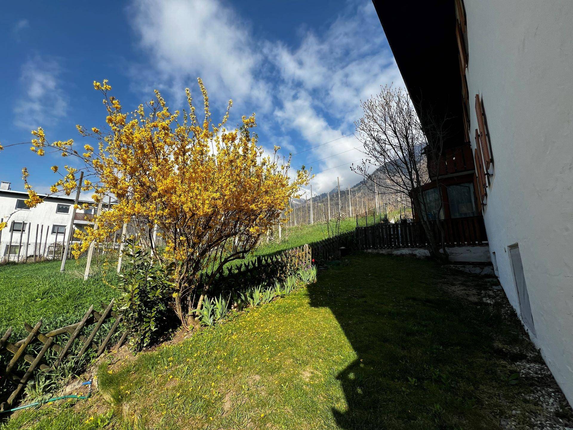 Töll-Vinschgau-Val Venosta-Tell-Einzimmerwohnung-monolocale-balcone-soffitta-garage-Balkon-Dachboden-Garage-Garten-Ferienwohnung-casa vacanze-Investiton-Investitionsobjekt-investimento