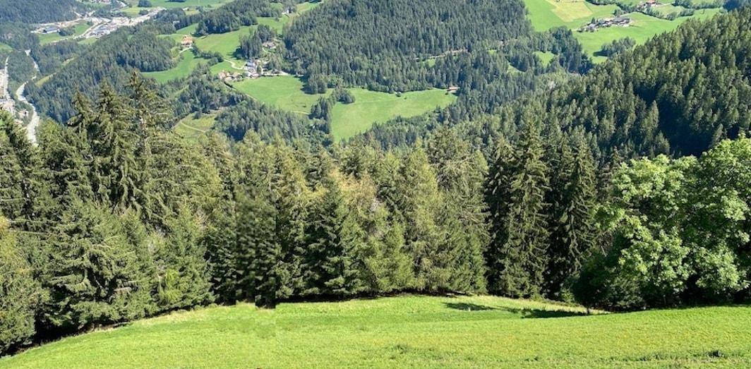 Steilhang_Hanglage_Wiese_Wald_Acker_St.Lorenzen