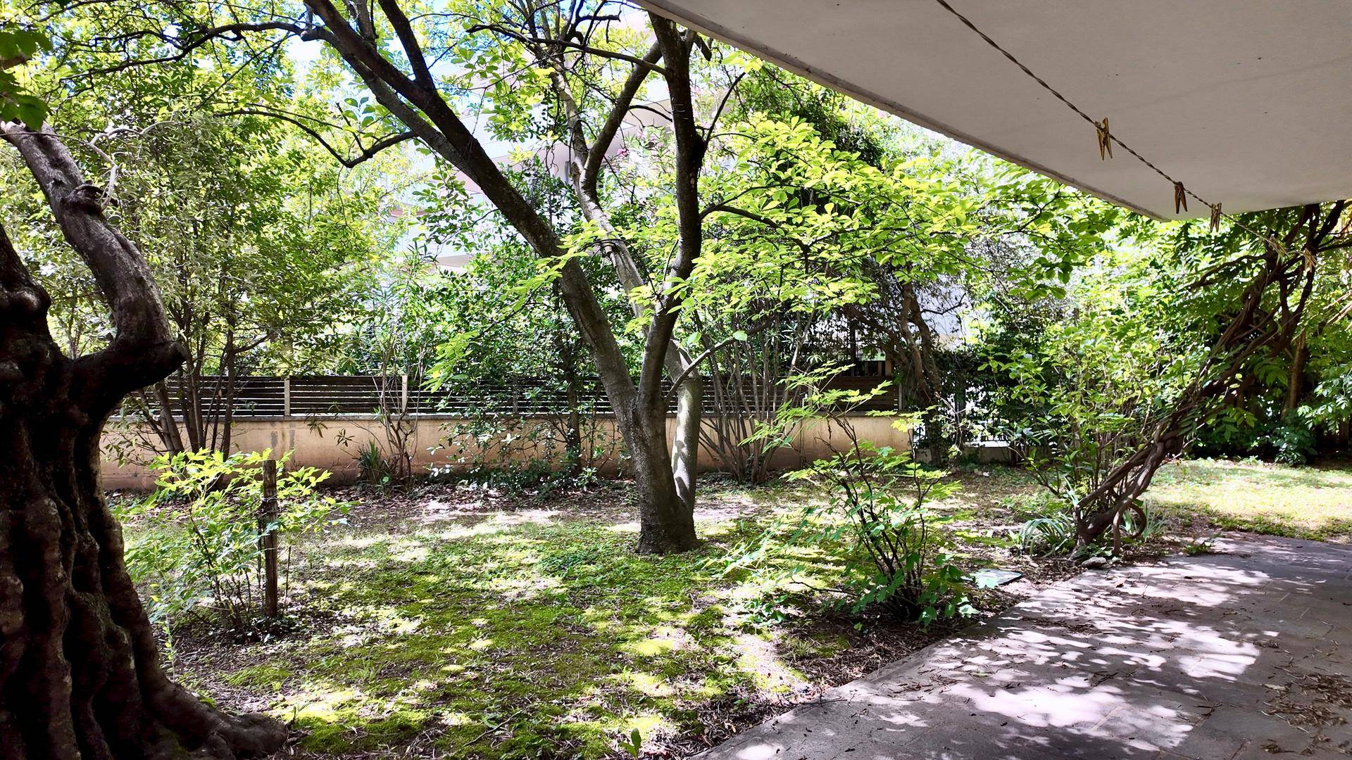 Großer, grüner Garten mit altem Baumbestand und viel natürlichem Schatten.