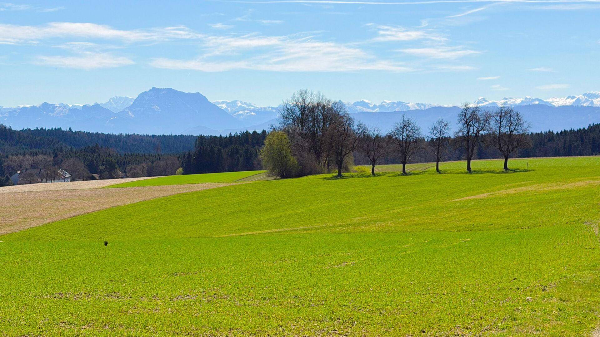 Grüne Wiesen und Felder erstrecken sich bis zum Horizont mit schneebedeckten Bergen in der Ferne.