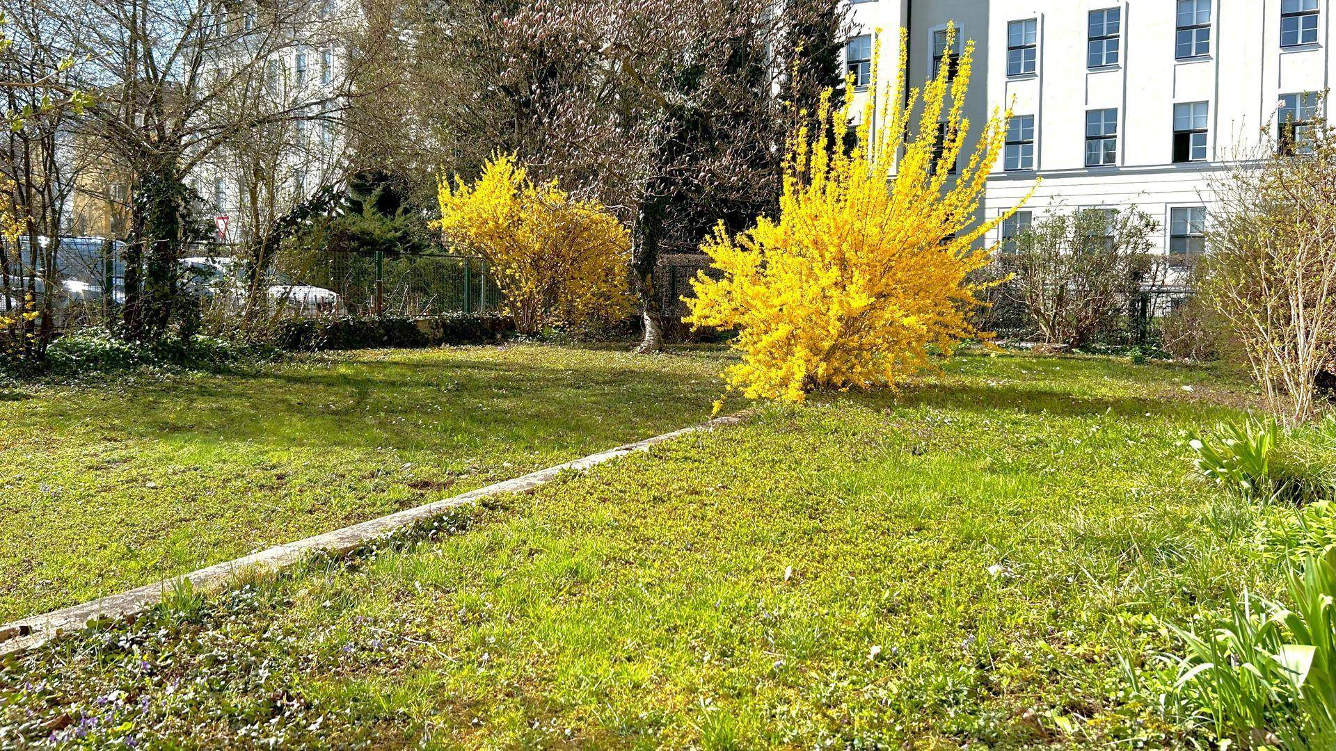 Gartenbereich - Westen