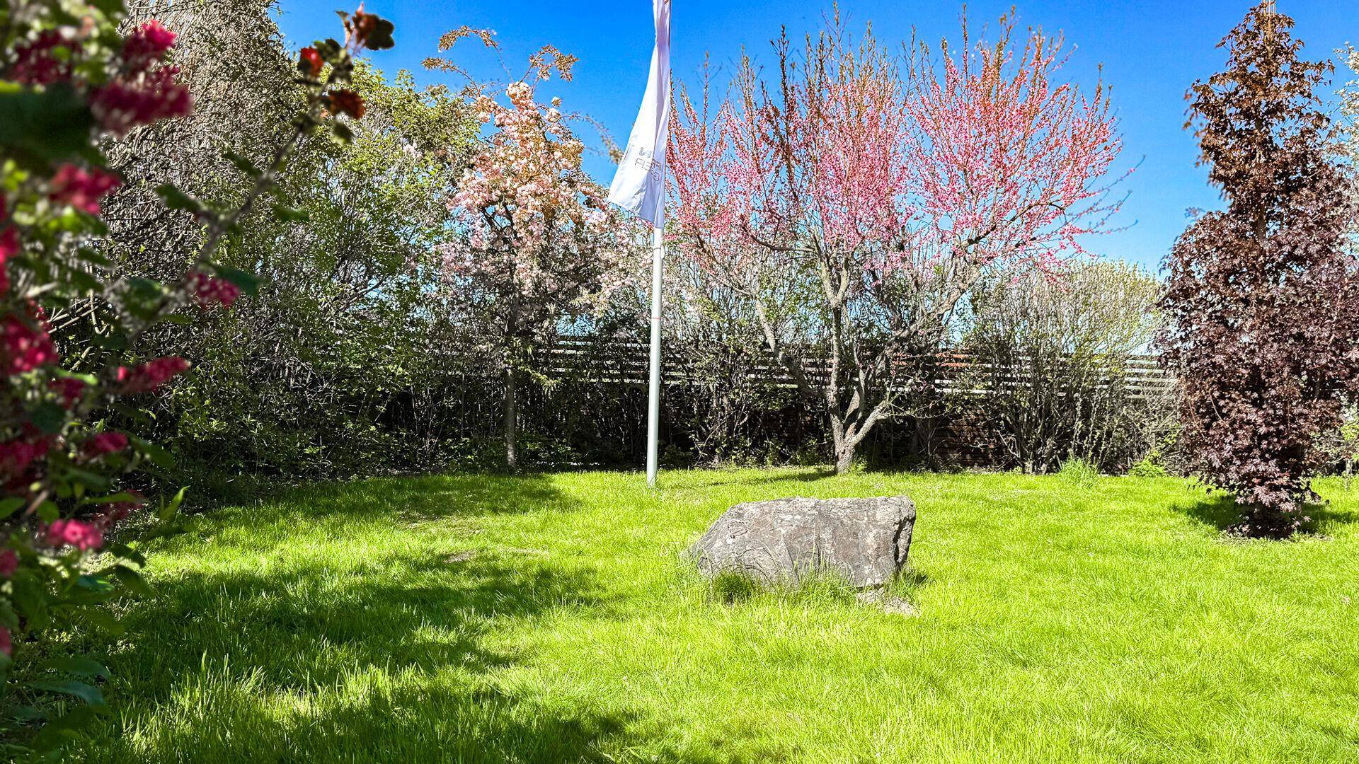 Sonnige Rasenfläche im Garten mit einem großen Stein und blühenden Bäumen im Hintergrund.