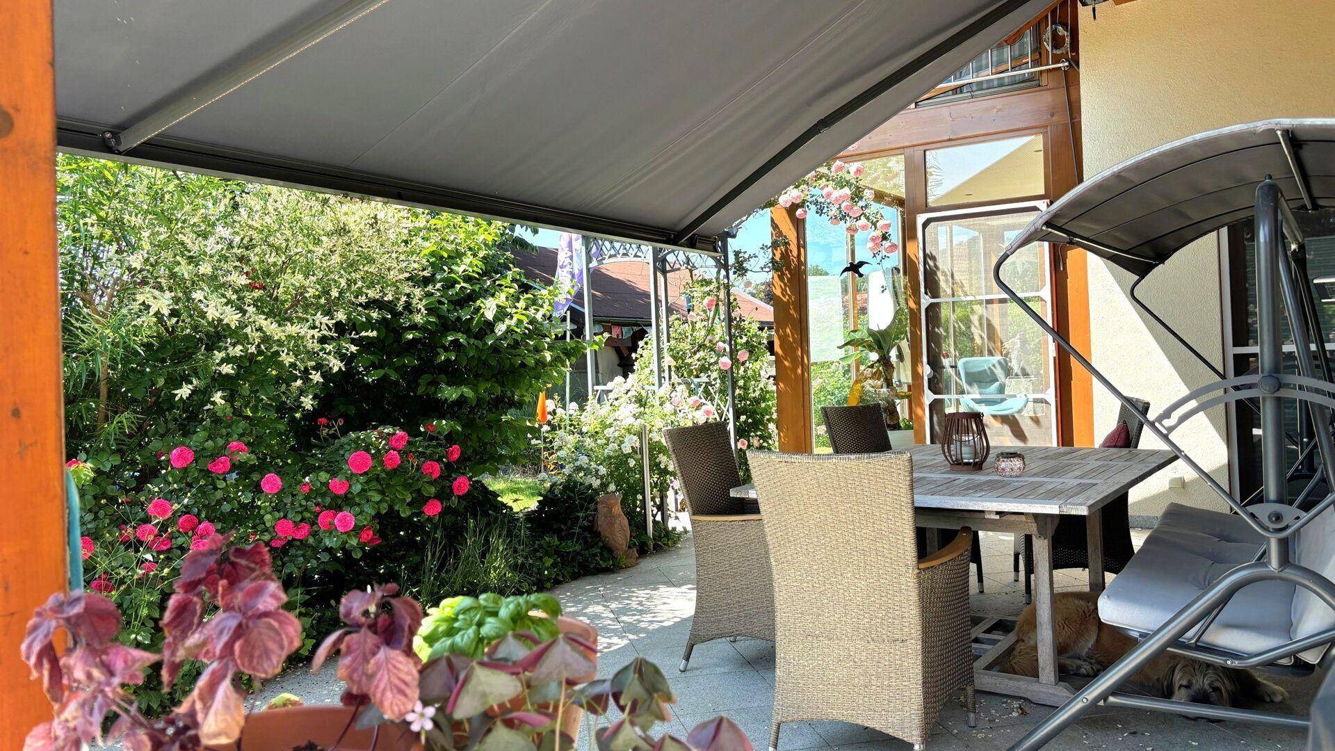 Überdachte Terrasse mit Gartenmöbeln, umgeben von üppigem Grün und blühenden Rosen.