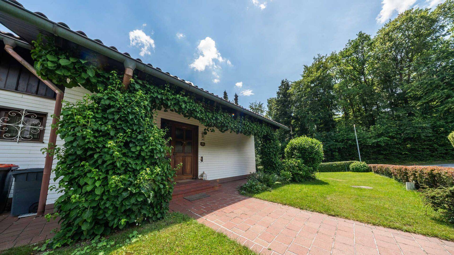 Eingangsbereich des Hauses mit begrüntem Vordach und gepflastertem Weg.