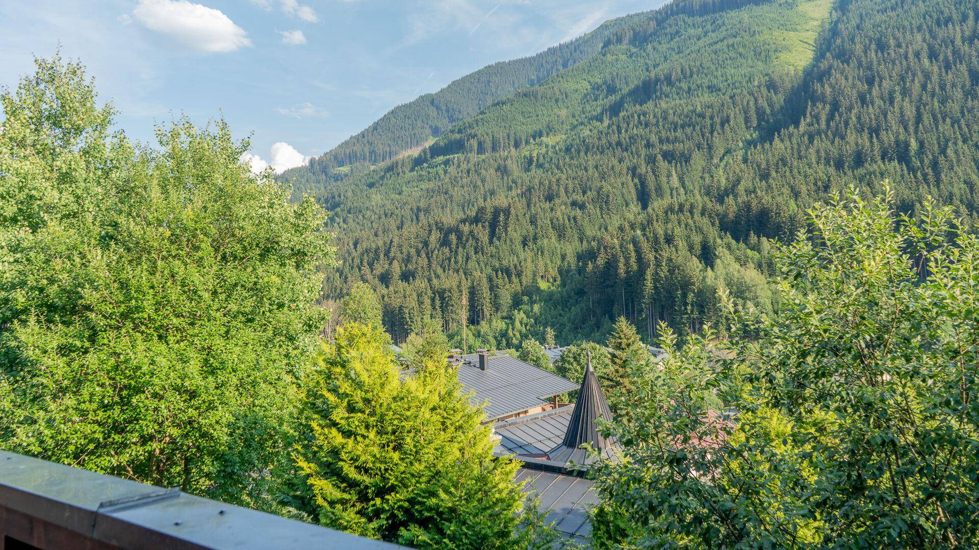 Panoramablick auf die grünen Berghänge und die umliegende Bebauung, umgeben von Bäumen.